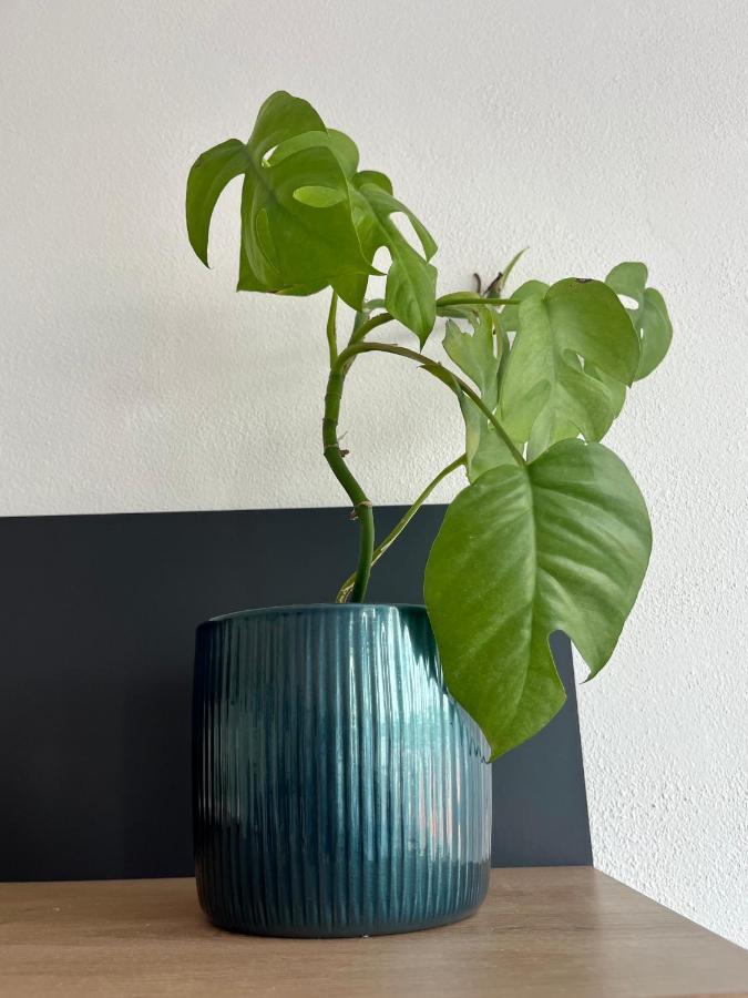 Appartement Monstera I à Kolín Extérieur photo